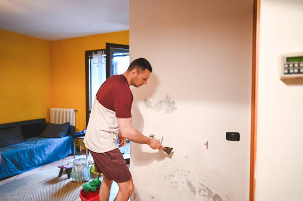 Best Kitchen Mold Remediation in Point Venture, TX